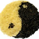 Yin en Yang